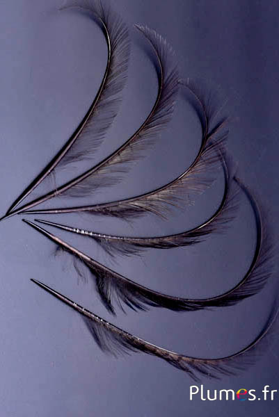 Faisan doré sculpté - 35 cm - anthracite